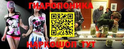 ECSTASY Чебоксары