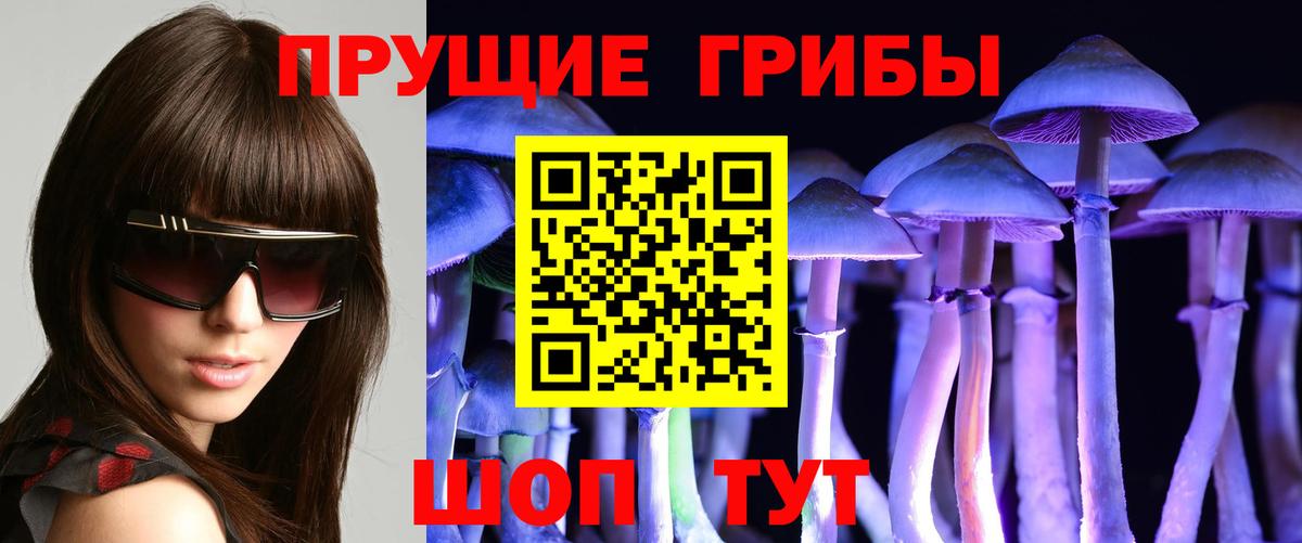 Галлюциногенные грибы MAGIC MUSHROOMS  Вход с VPN  Ачхой-Мартан  Псилоцибиновые грибы Psilocybe 